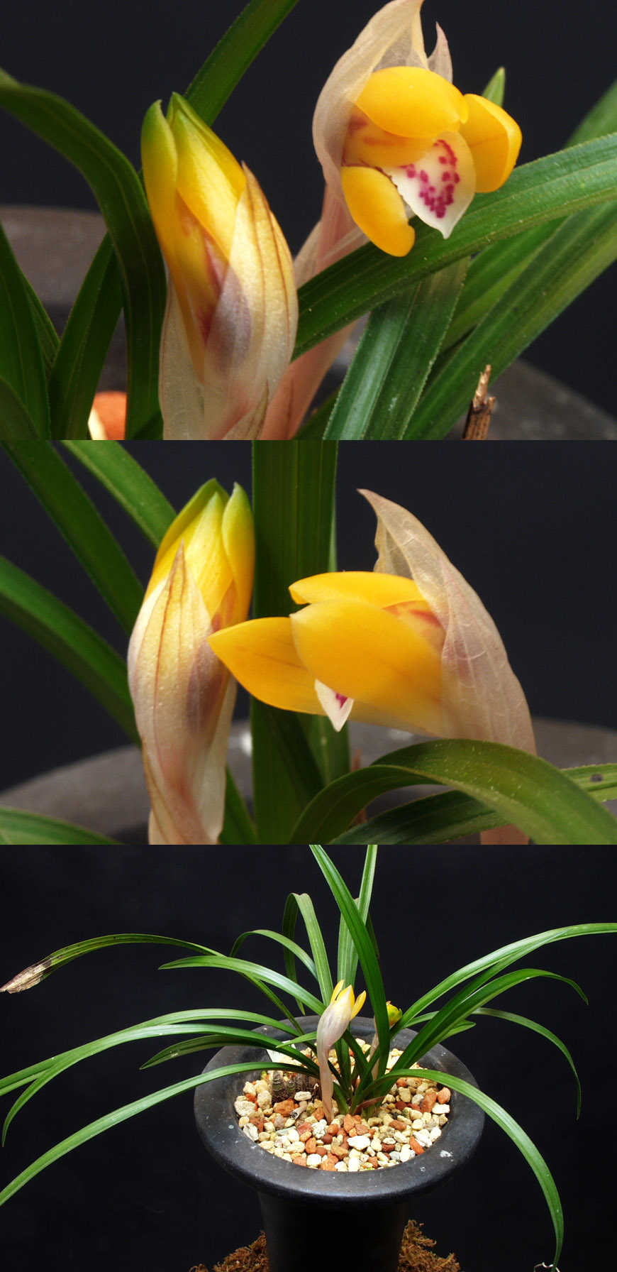 ������ ū������ �� �� �ֽ��ϴ�.