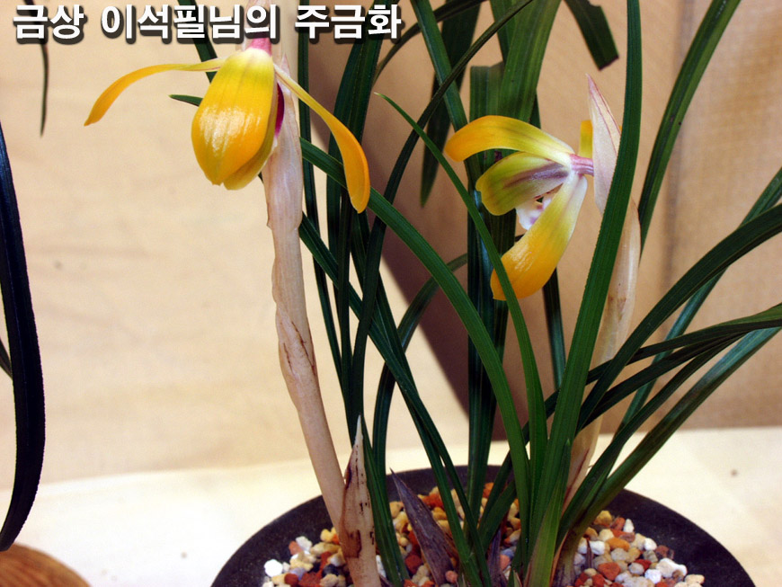 ������ ū������ �� �� �ֽ��ϴ�.