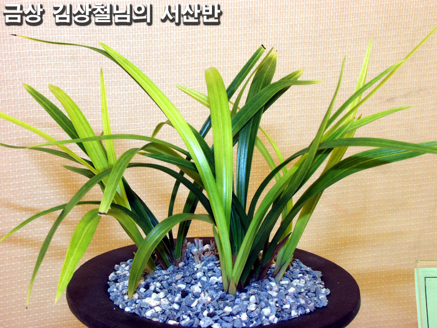 ������ ū������ �� �� �ֽ��ϴ�.