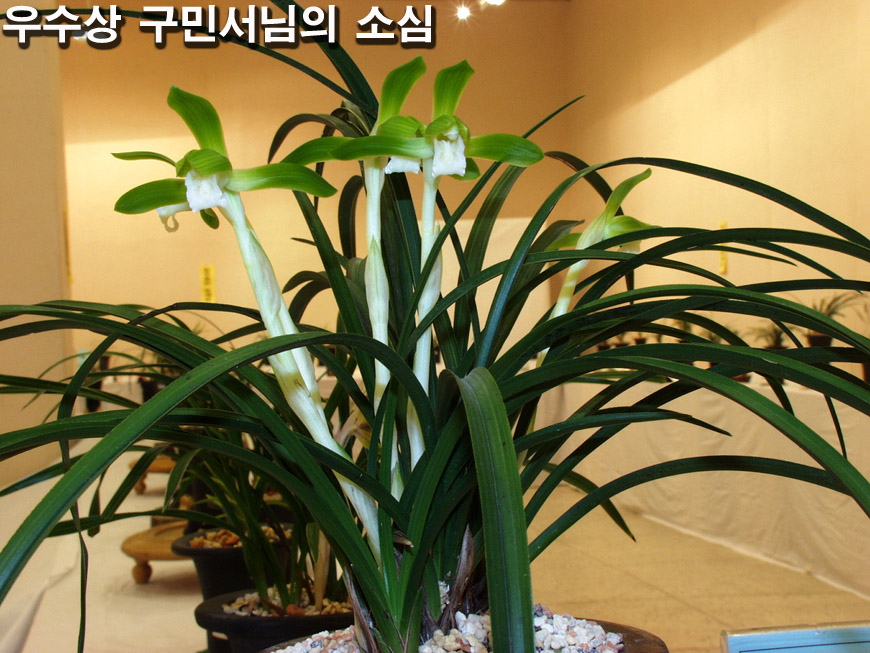 ������ ū������ �� �� �ֽ��ϴ�.