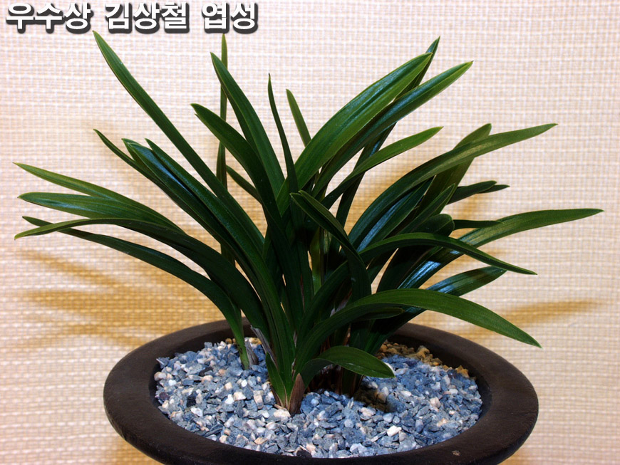 ������ ū������ �� �� �ֽ��ϴ�.