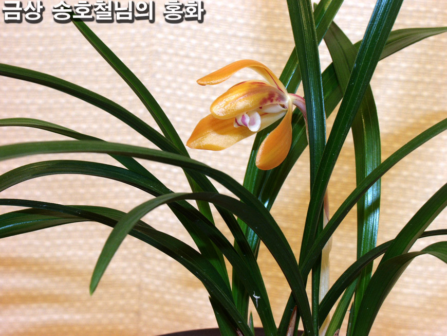 ������ ū������ �� �� �ֽ��ϴ�.