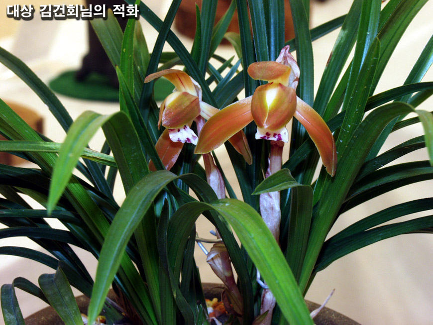 ������ ū������ �� �� �ֽ��ϴ�.