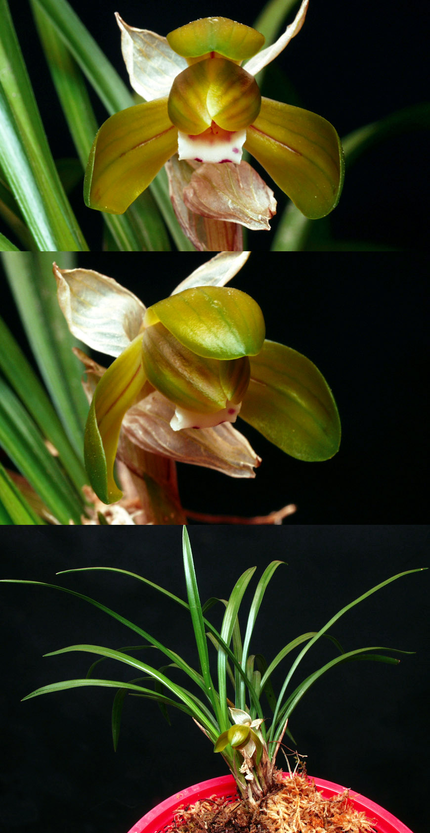 ������ ū������ �� �� �ֽ��ϴ�.