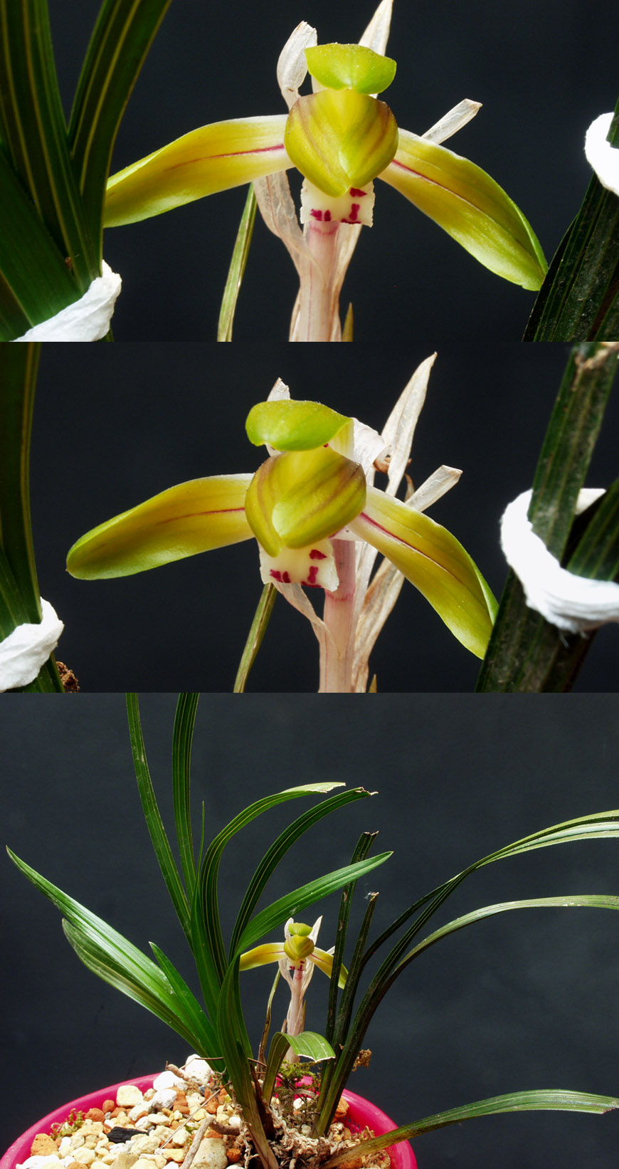 ������ ū������ �� �� �ֽ��ϴ�.