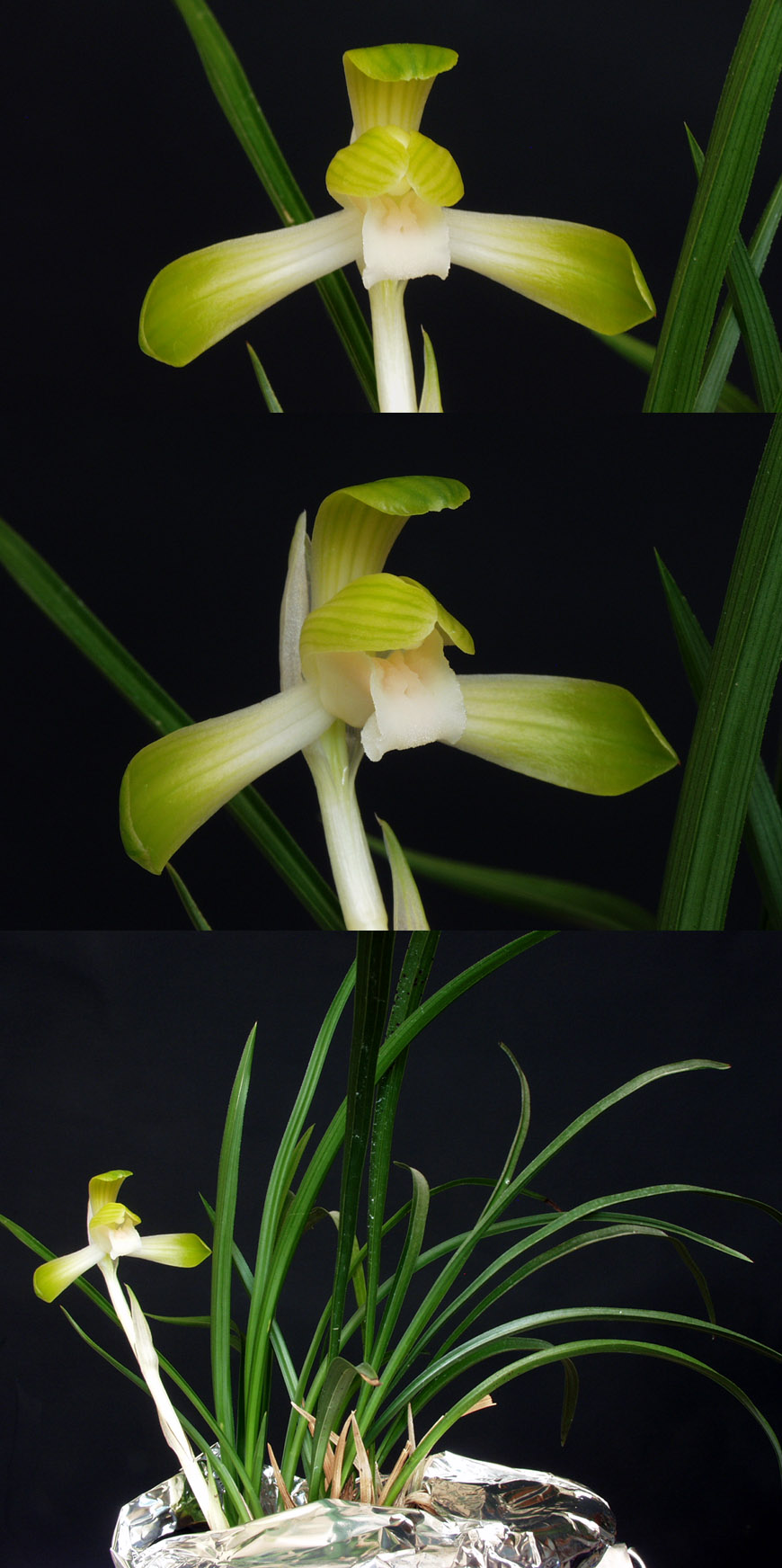 ������ ū������ �� �� �ֽ��ϴ�.