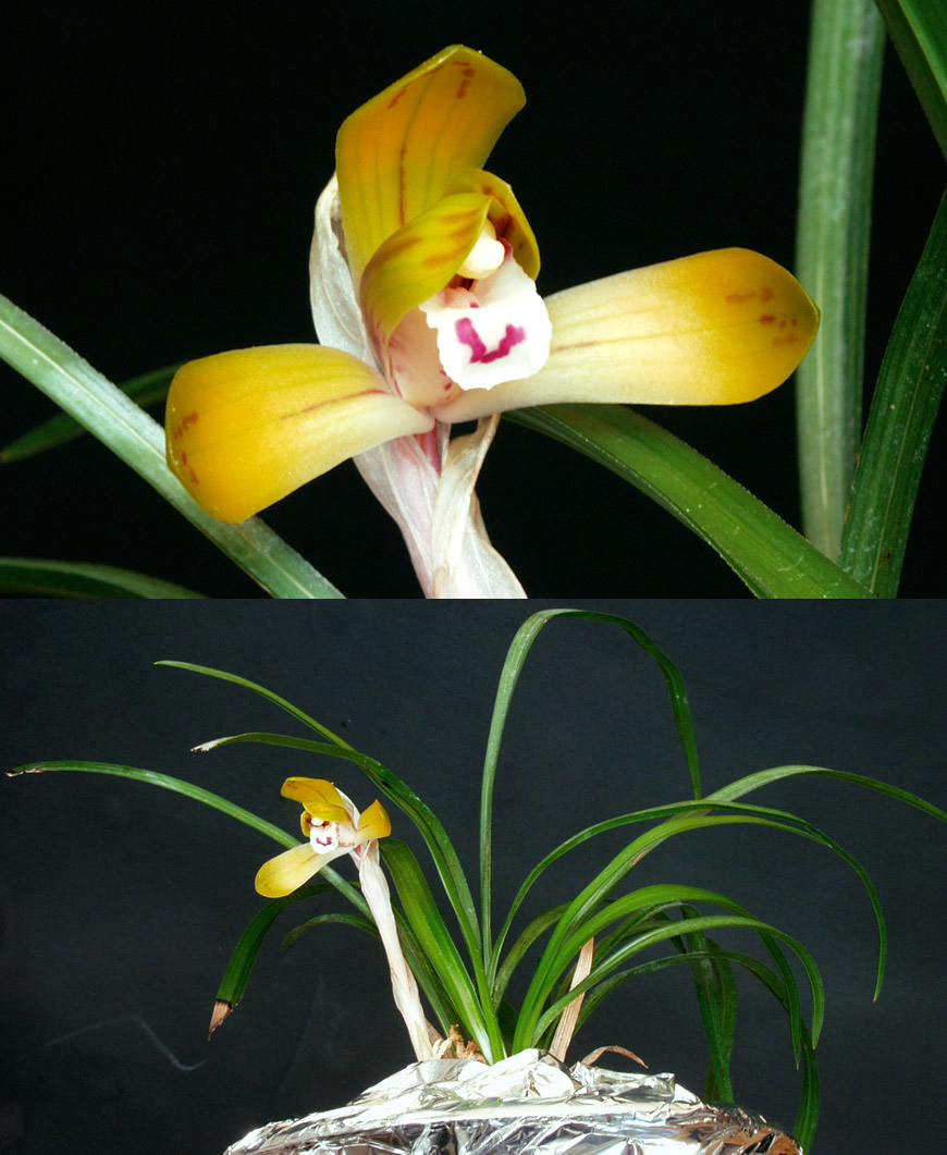 ������ ū������ �� �� �ֽ��ϴ�.