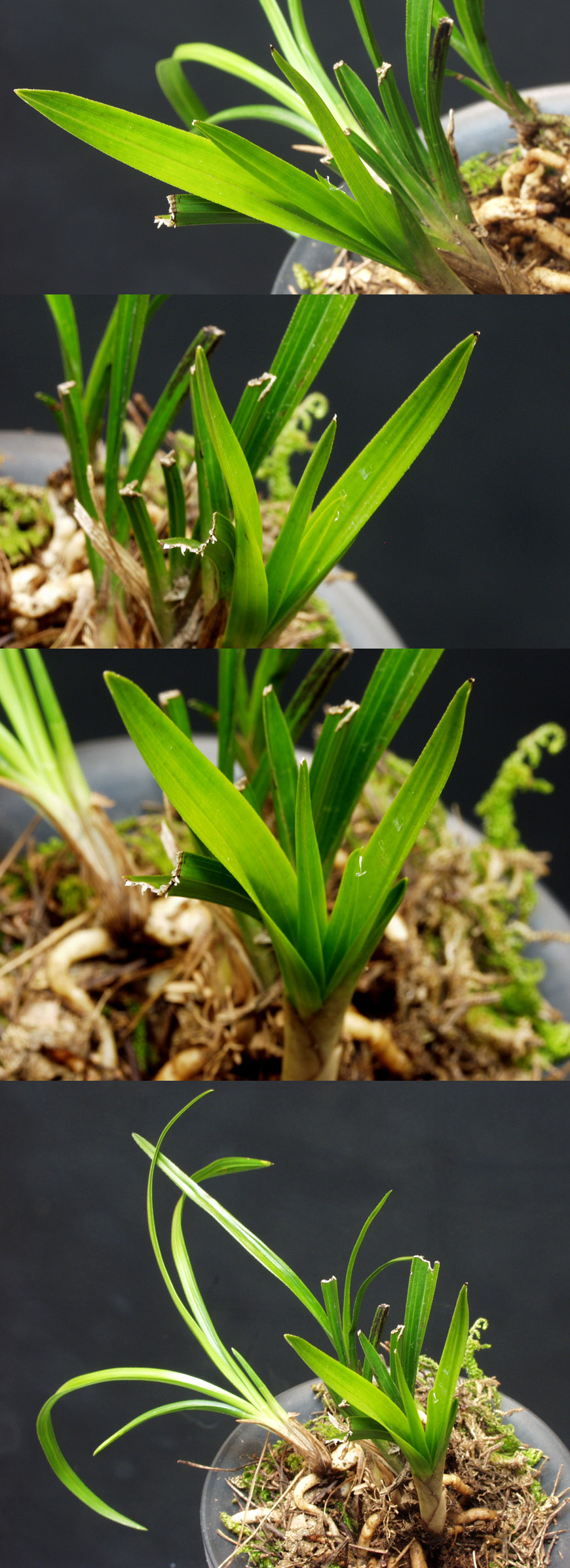 ������ ū������ �� �� �ֽ��ϴ�.