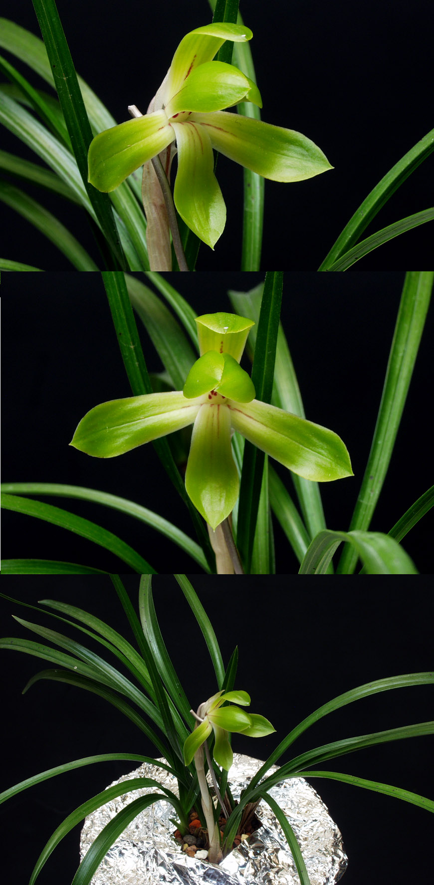 ������ ū������ �� �� �ֽ��ϴ�.