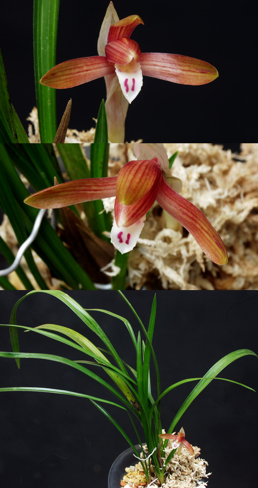 ������ ū������ �� �� �ֽ��ϴ�.