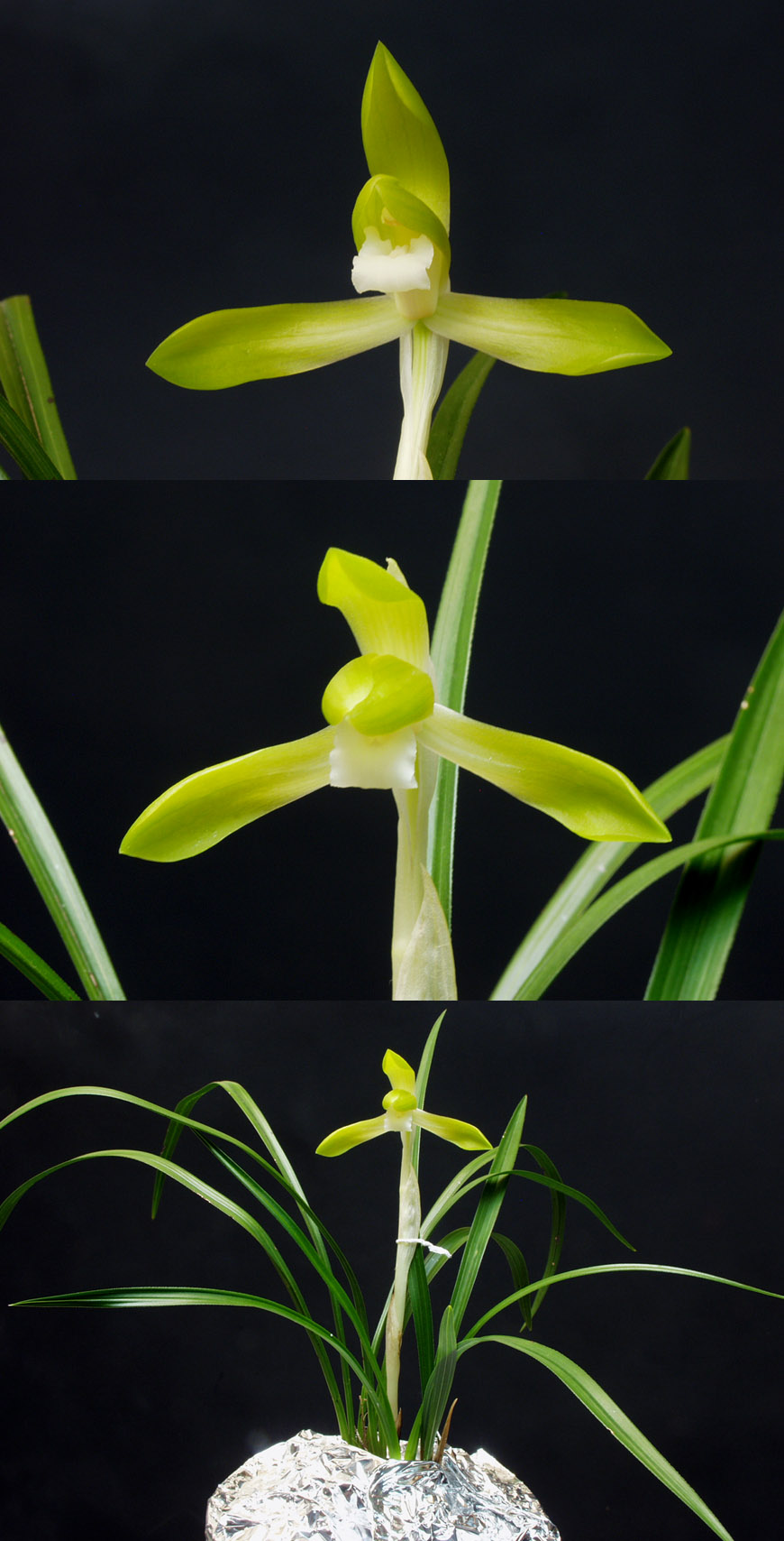 ������ ū������ �� �� �ֽ��ϴ�.