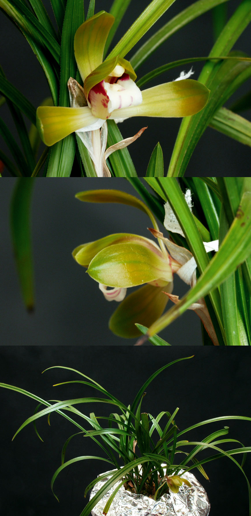 ������ ū������ �� �� �ֽ��ϴ�.