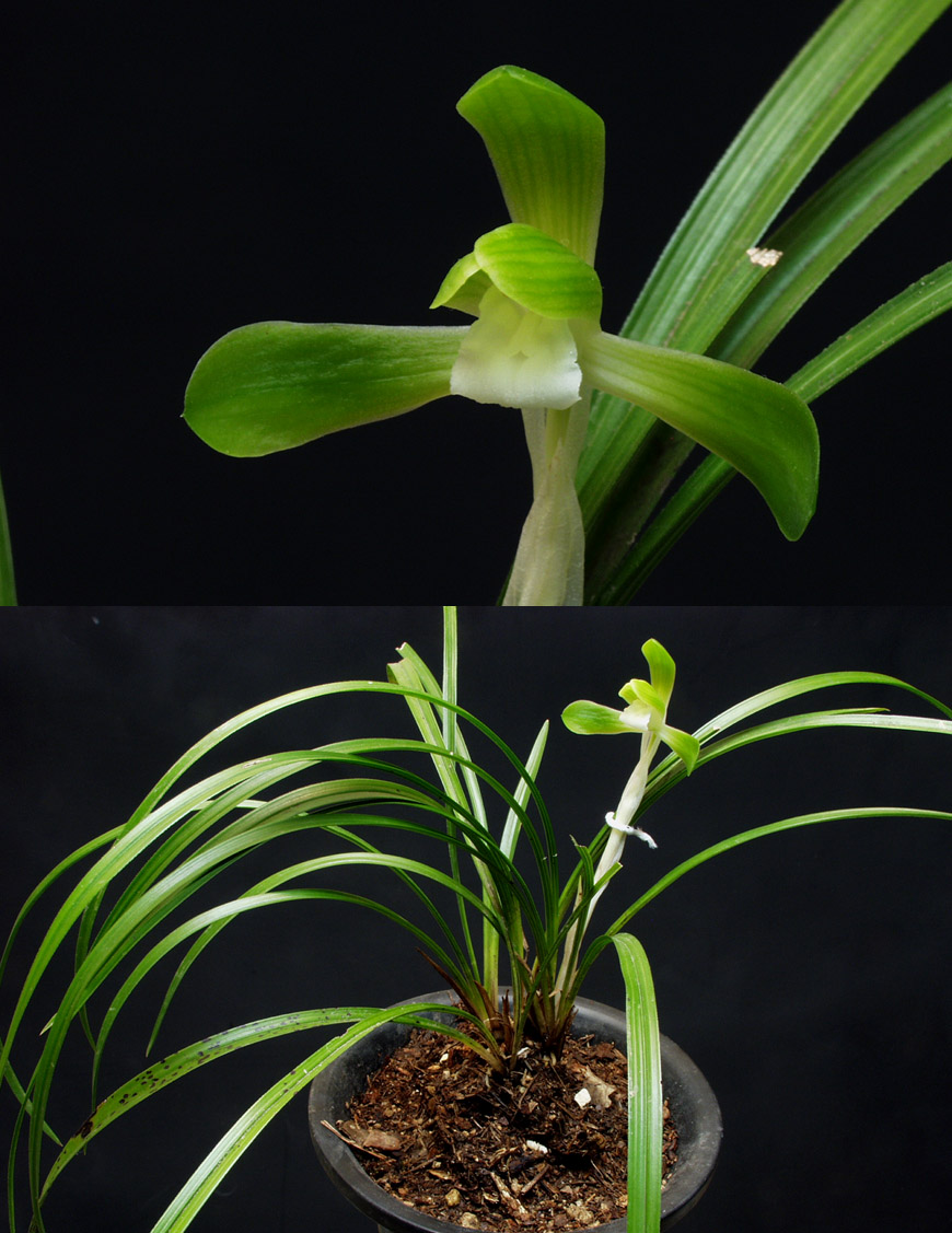 ������ ū������ �� �� �ֽ��ϴ�.