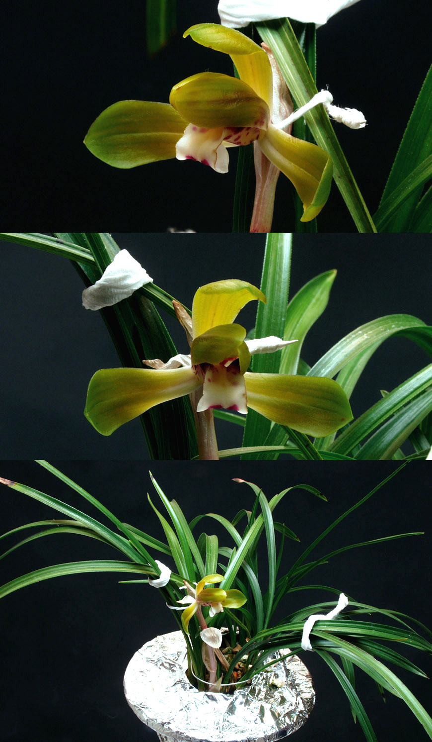 ������ ū������ �� �� �ֽ��ϴ�.