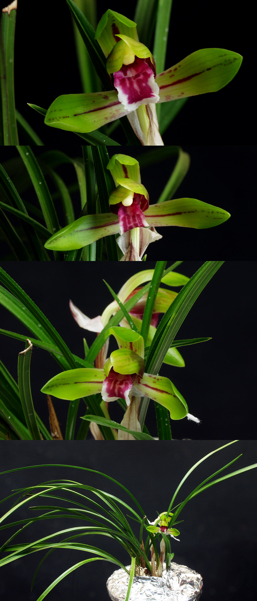 ������ ū������ �� �� �ֽ��ϴ�.