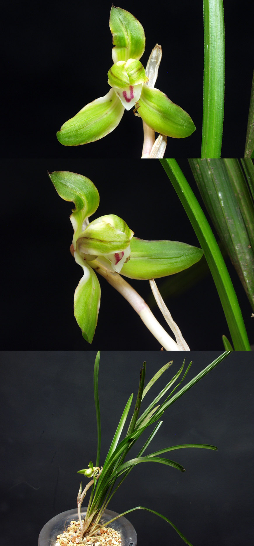 ������ ū������ �� �� �ֽ��ϴ�.