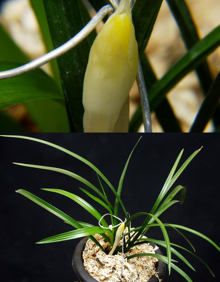 ������ ū������ �� �� �ֽ��ϴ�.