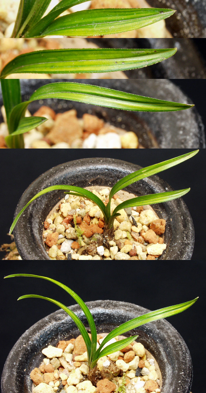 ������ ū������ �� �� �ֽ��ϴ�.