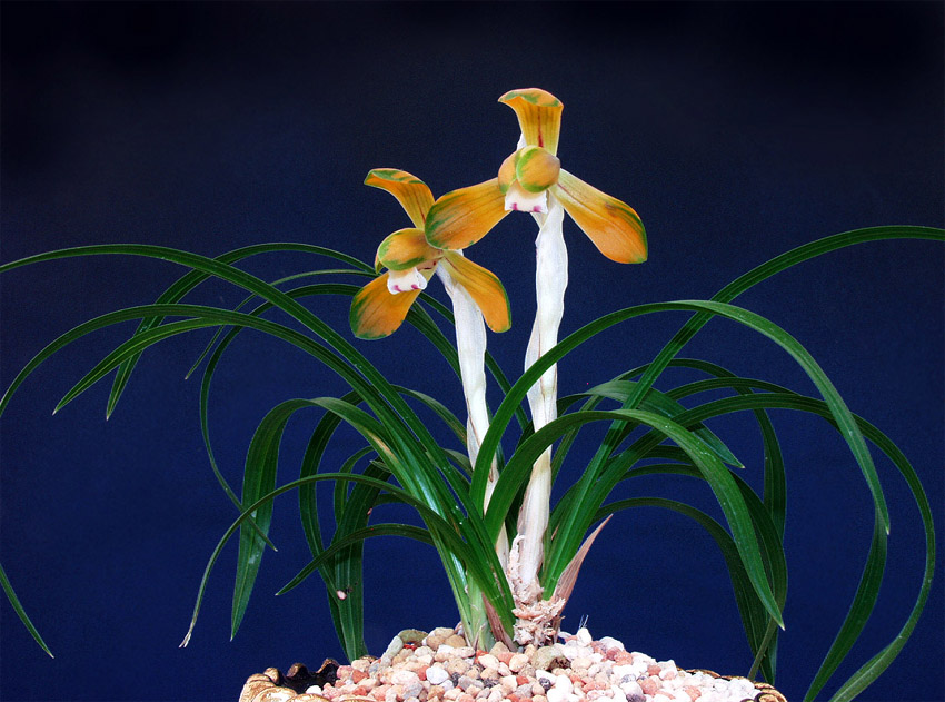 ������ ū������ �� �� �ֽ��ϴ�.