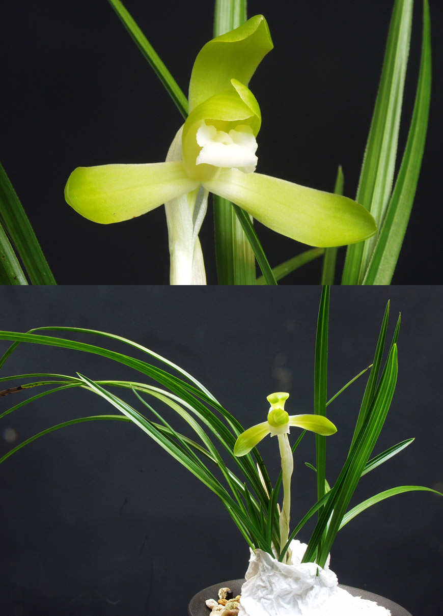 ������ ū������ �� �� �ֽ��ϴ�.