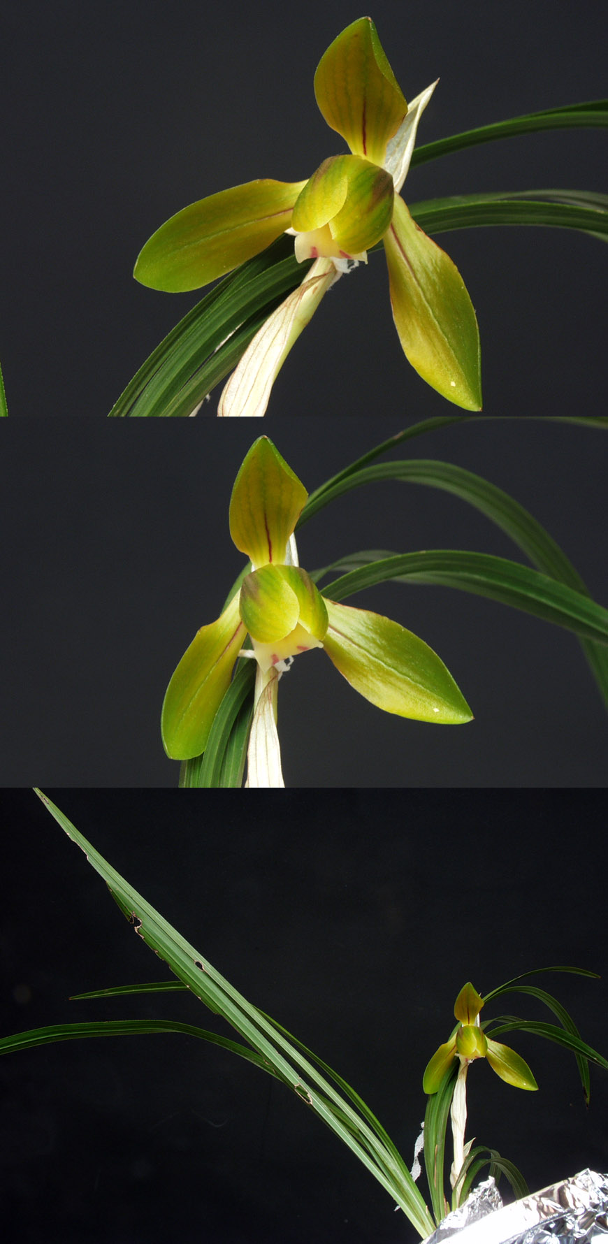 ������ ū������ �� �� �ֽ��ϴ�.