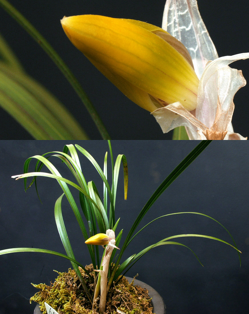 ������ ū������ �� �� �ֽ��ϴ�.