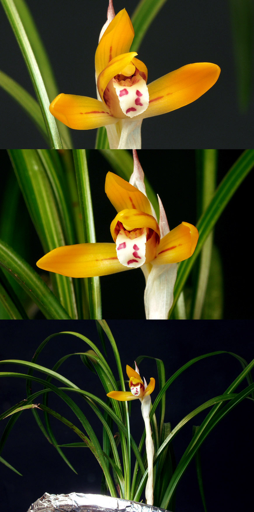 ������ ū������ �� �� �ֽ��ϴ�.