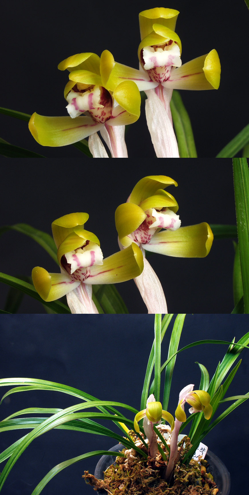 ������ ū������ �� �� �ֽ��ϴ�.