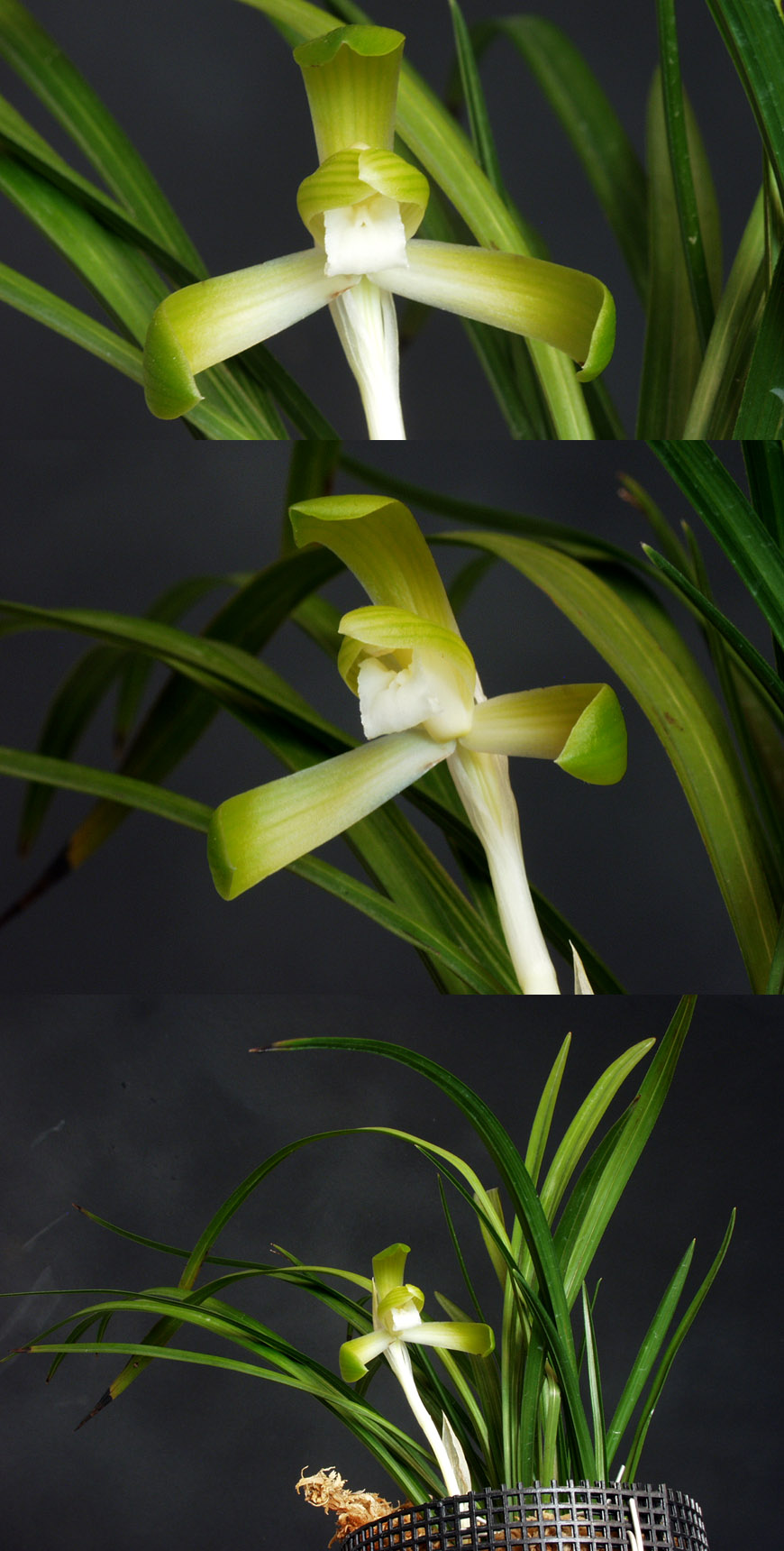 ������ ū������ �� �� �ֽ��ϴ�.