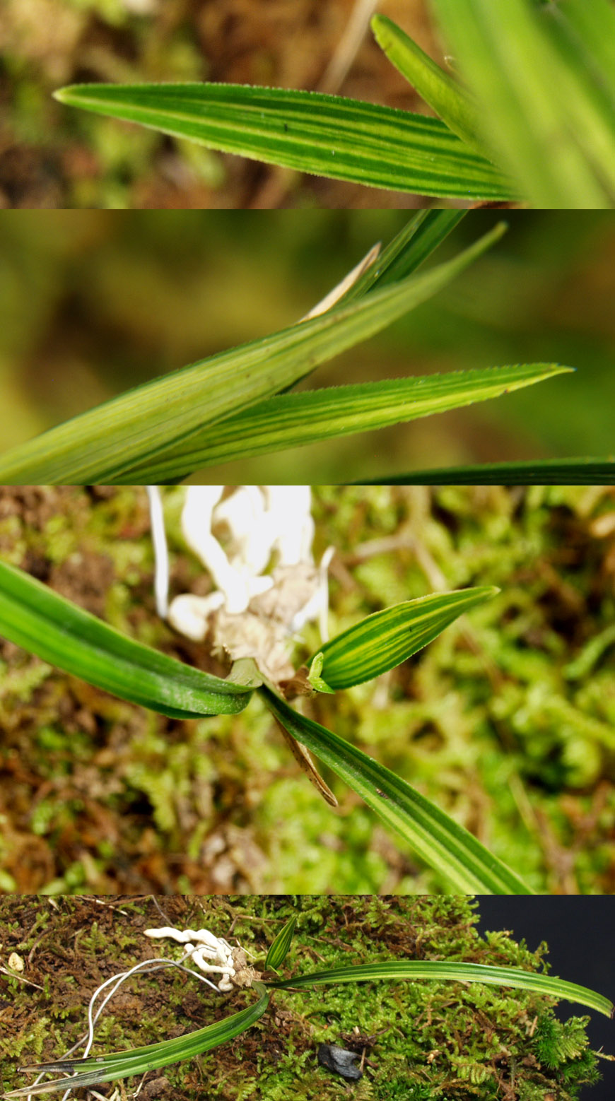 ������ ū������ �� �� �ֽ��ϴ�.