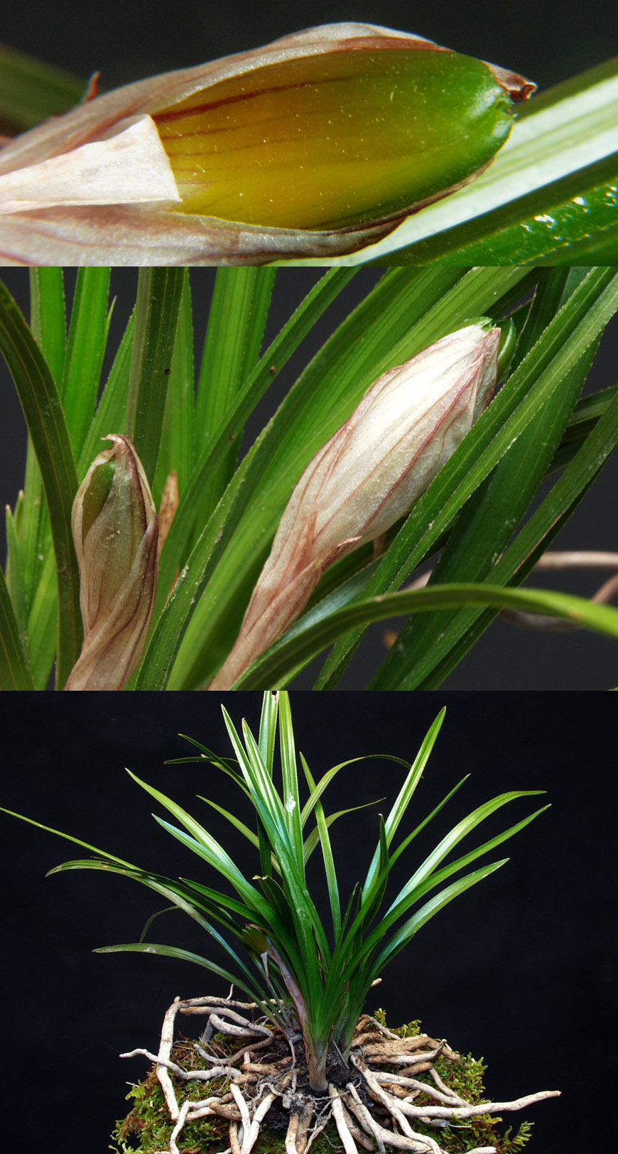 ������ ū������ �� �� �ֽ��ϴ�.