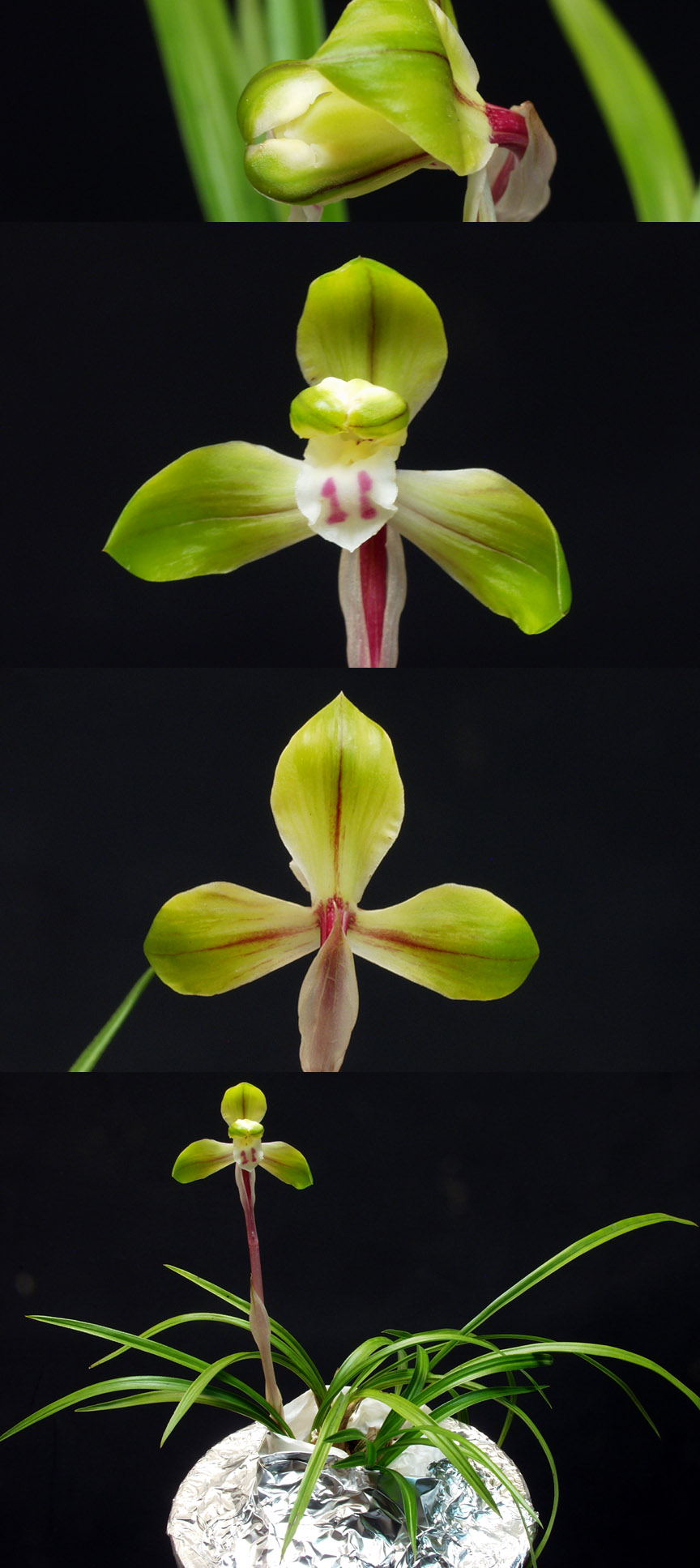 ������ ū������ �� �� �ֽ��ϴ�.