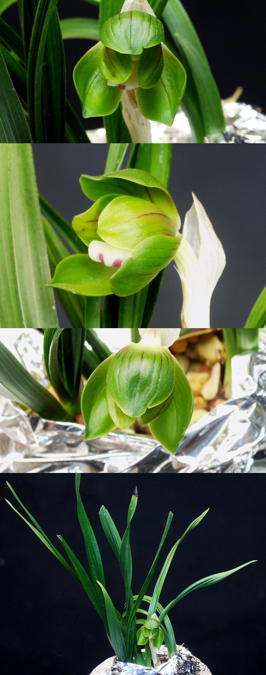 ������ ū������ �� �� �ֽ��ϴ�.