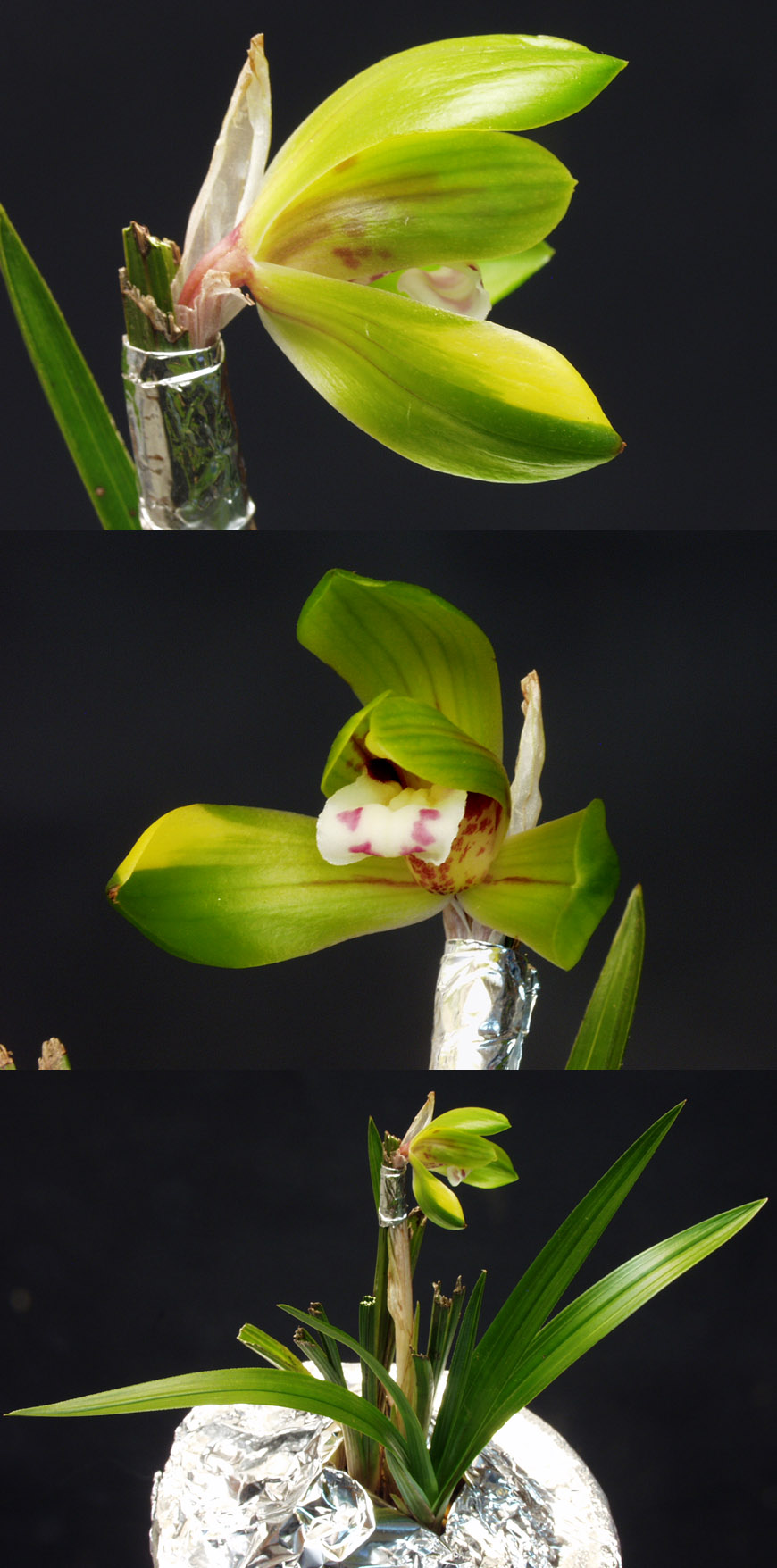 ������ ū������ �� �� �ֽ��ϴ�.