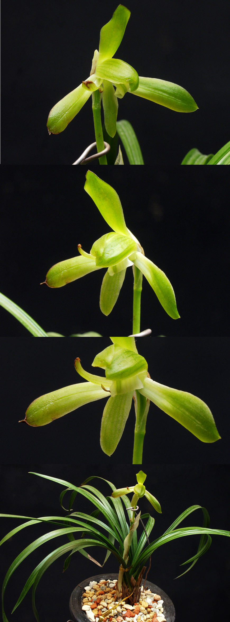 ������ ū������ �� �� �ֽ��ϴ�.