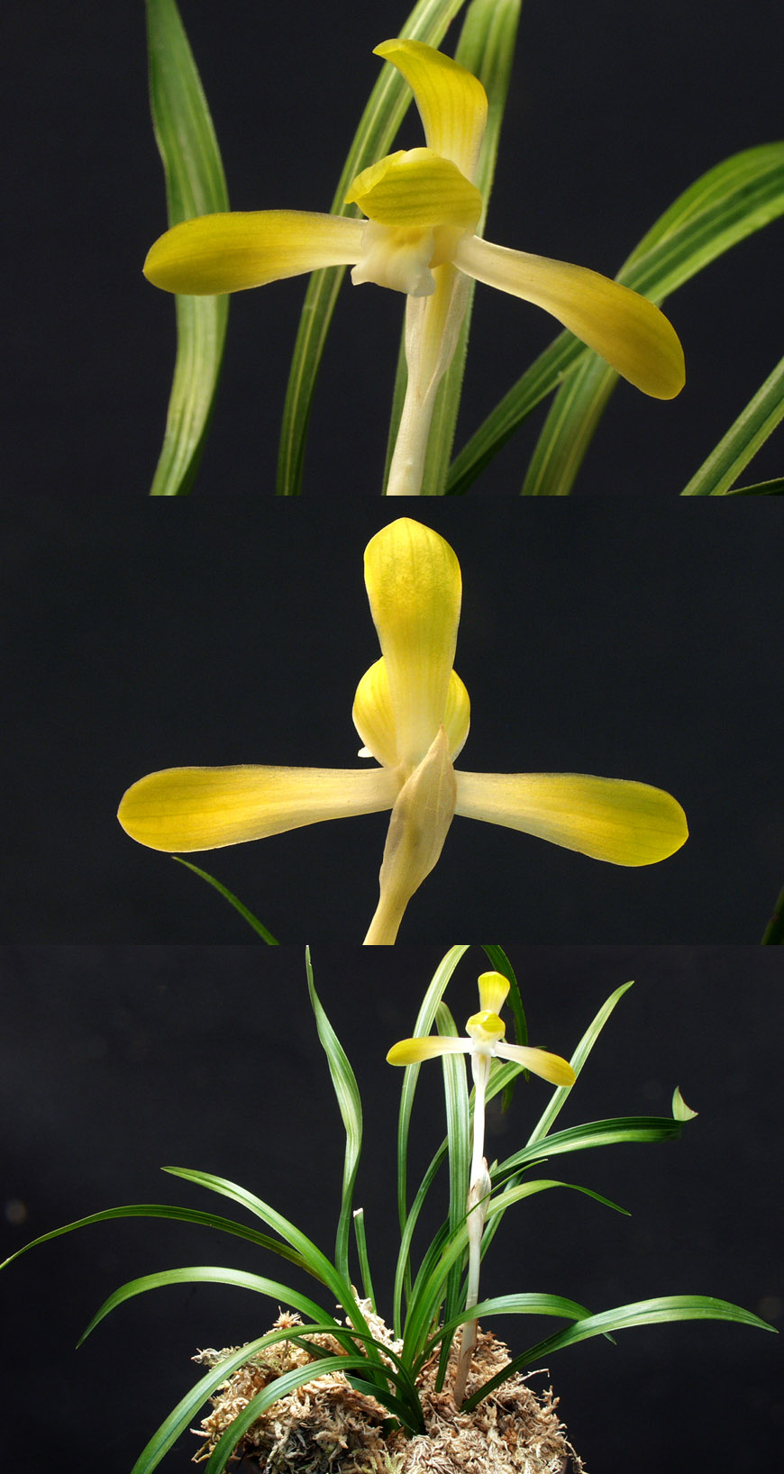 ������ ū������ �� �� �ֽ��ϴ�.