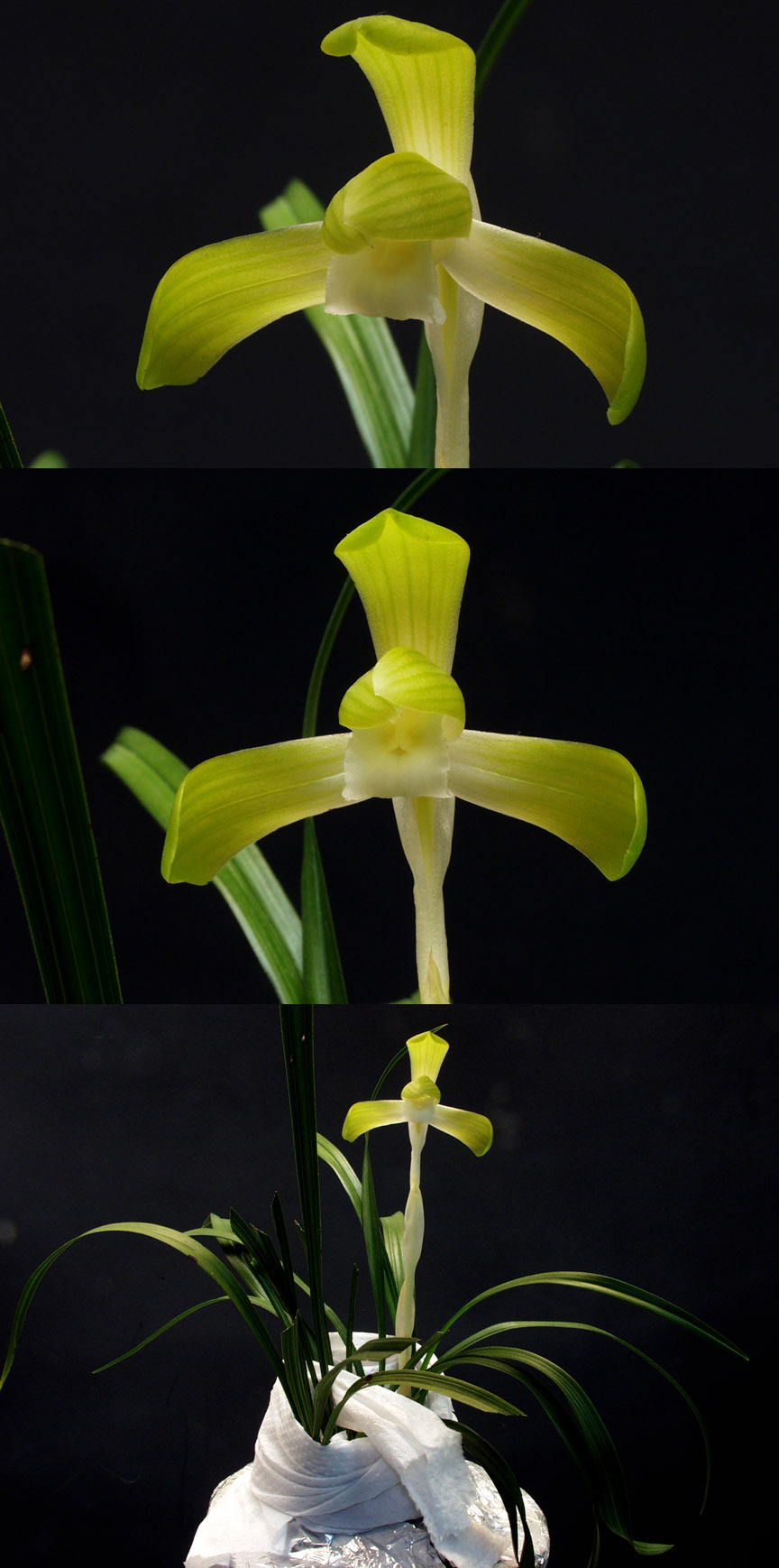 ������ ū������ �� �� �ֽ��ϴ�.