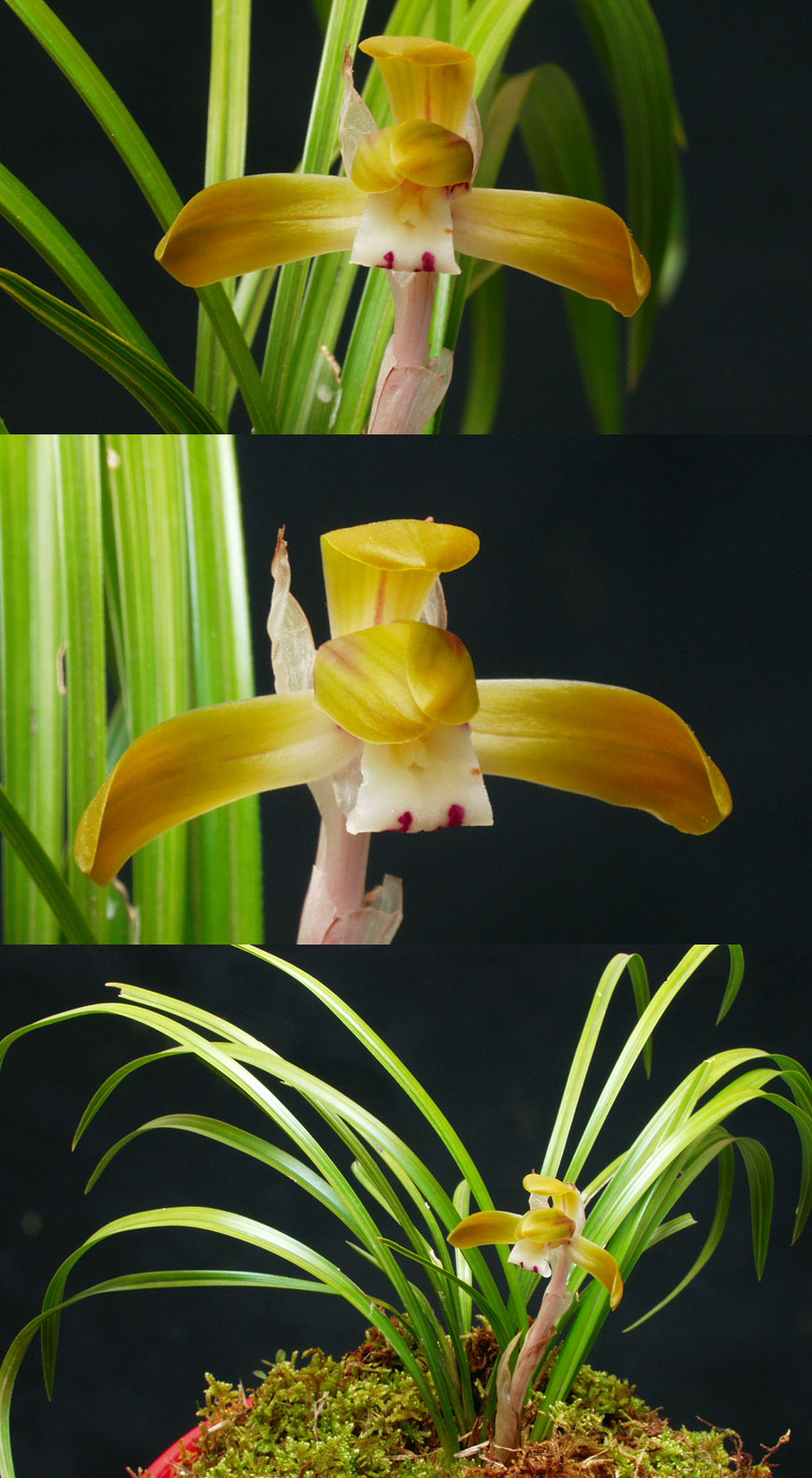 ������ ū������ �� �� �ֽ��ϴ�.