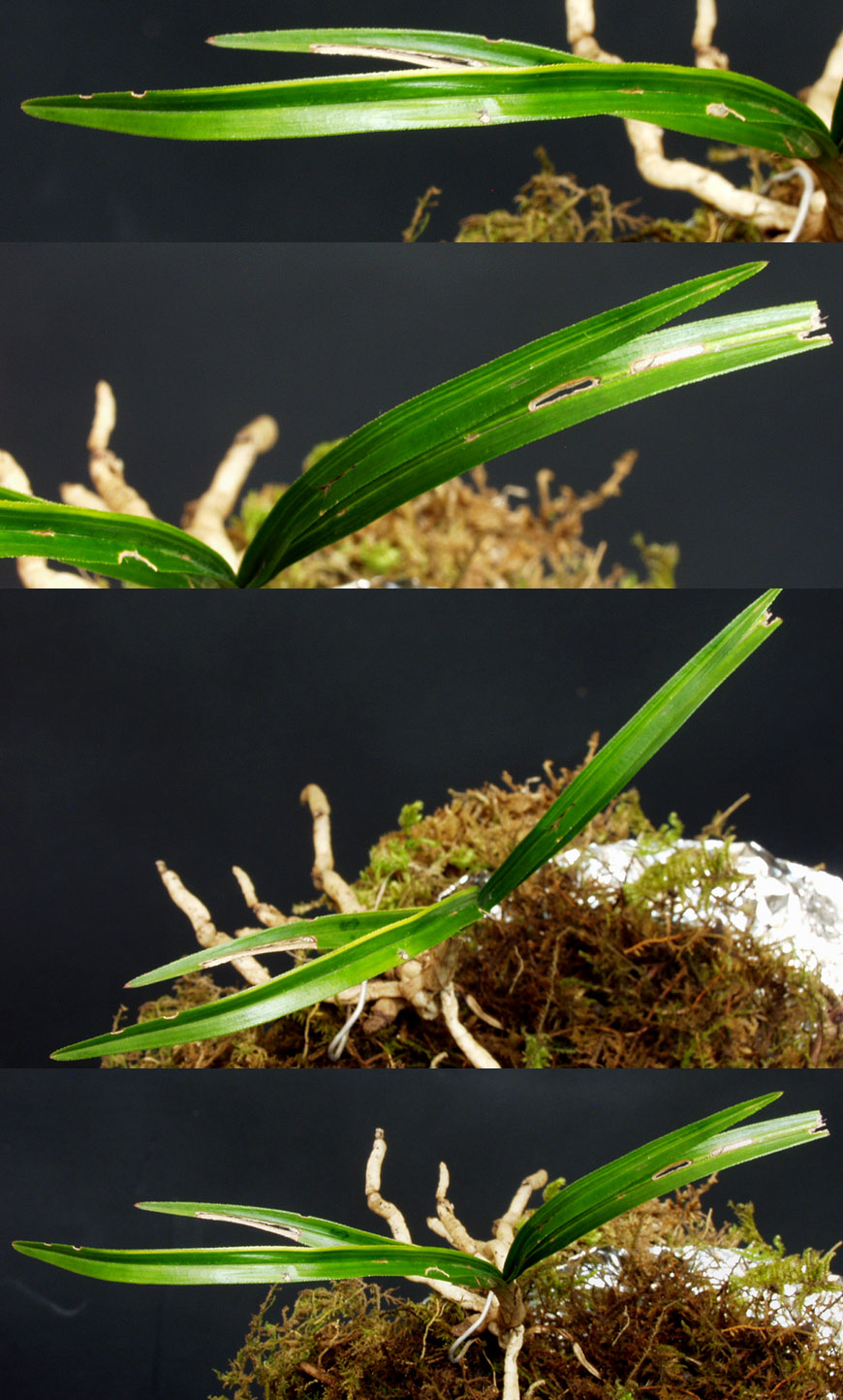 ������ ū������ �� �� �ֽ��ϴ�.