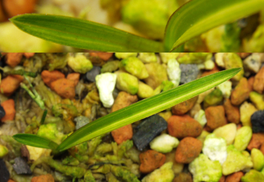 ������ ū������ �� �� �ֽ��ϴ�.