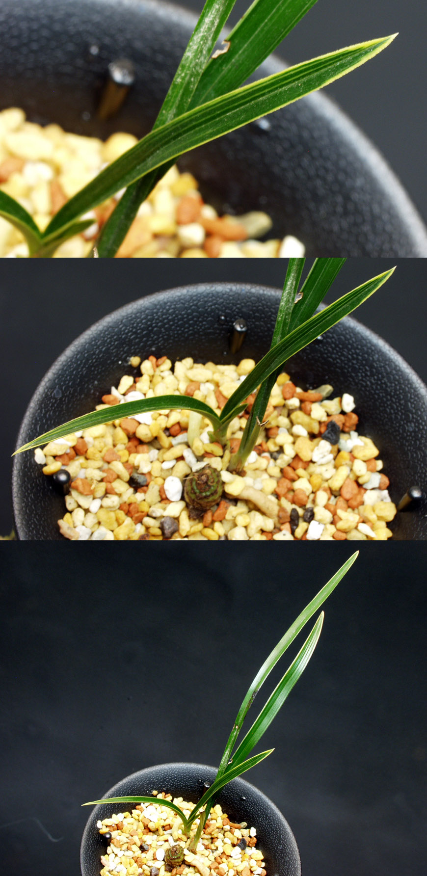 ������ ū������ �� �� �ֽ��ϴ�.