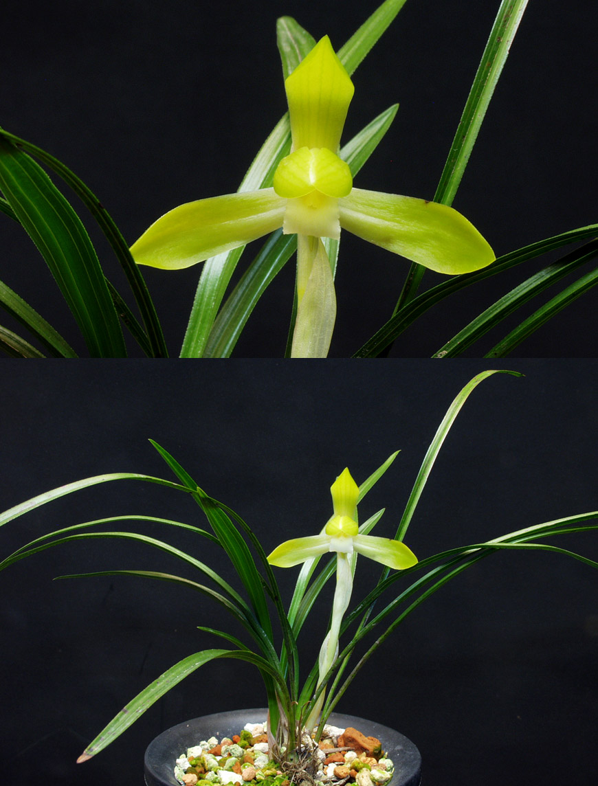 ������ ū������ �� �� �ֽ��ϴ�.