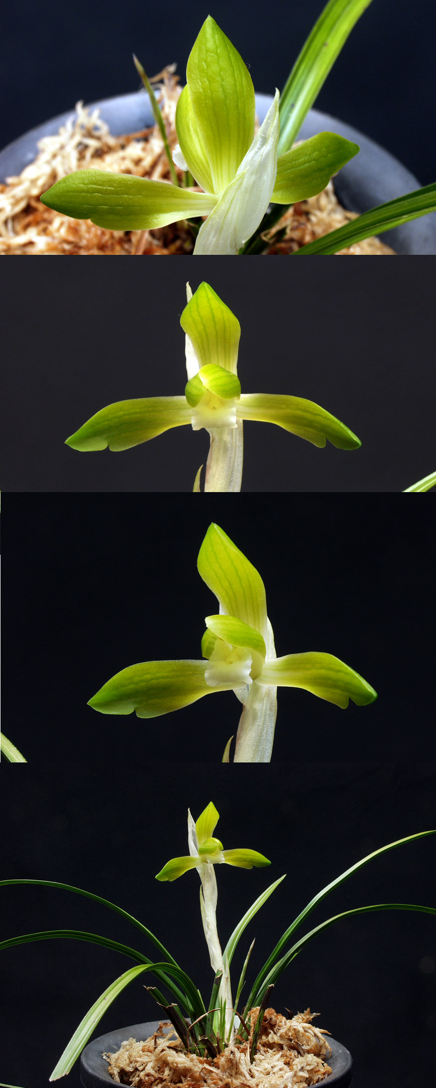 ������ ū������ �� �� �ֽ��ϴ�.