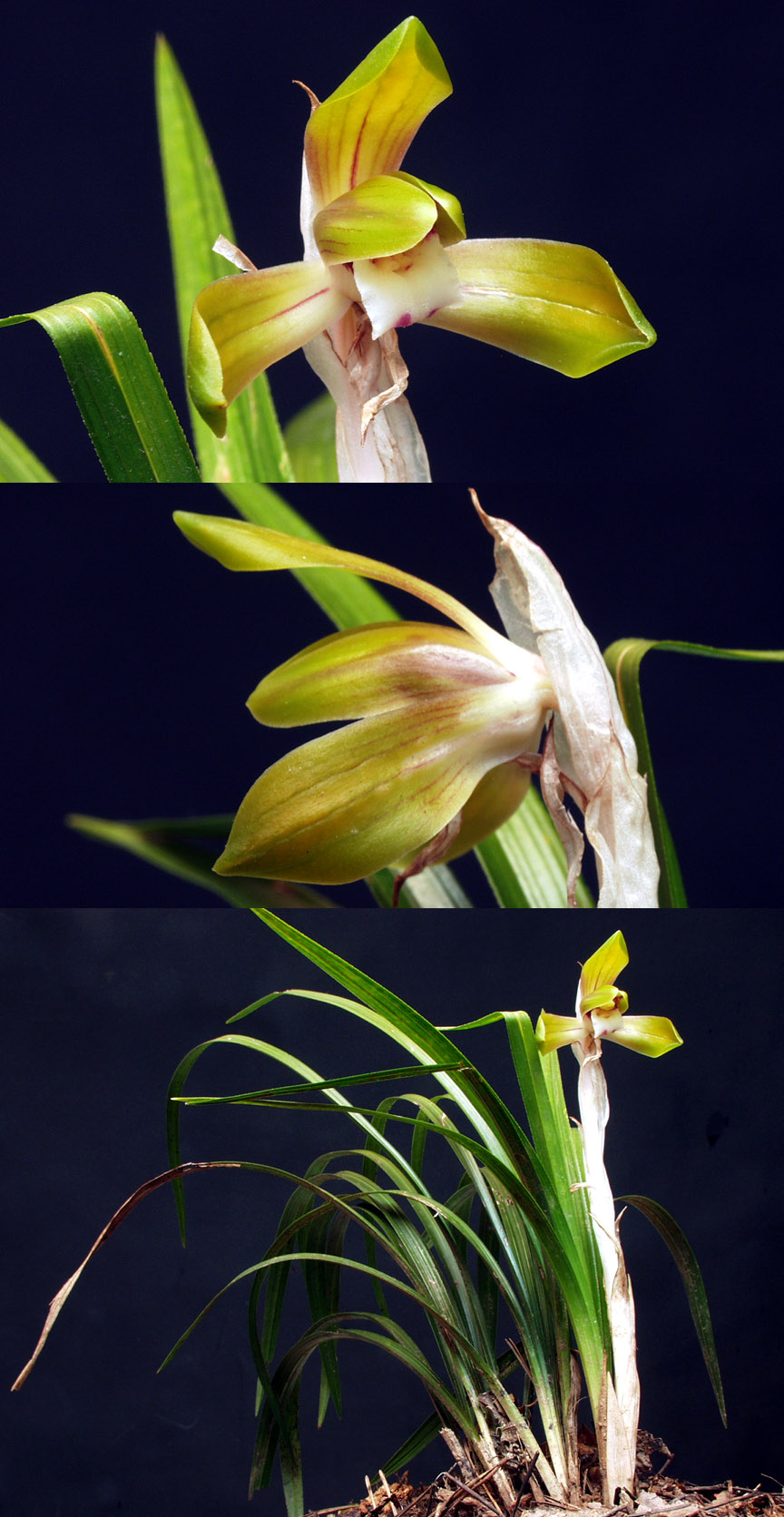 ������ ū������ �� �� �ֽ��ϴ�.