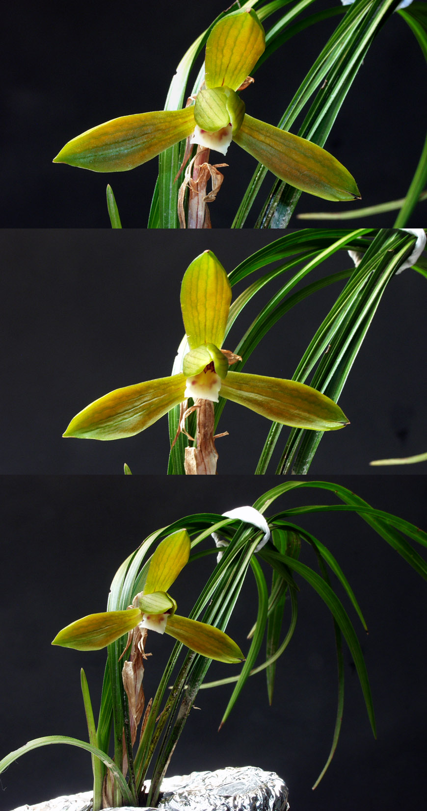 ������ ū������ �� �� �ֽ��ϴ�.