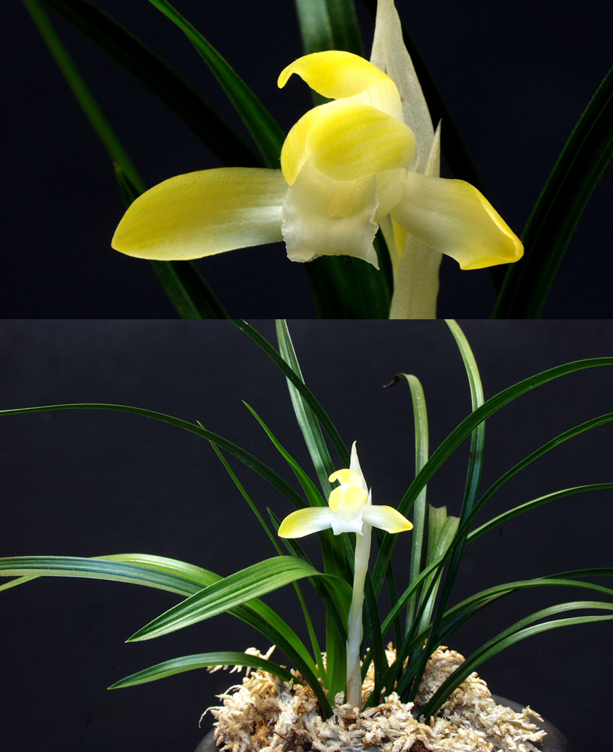 ������ ū������ �� �� �ֽ��ϴ�.