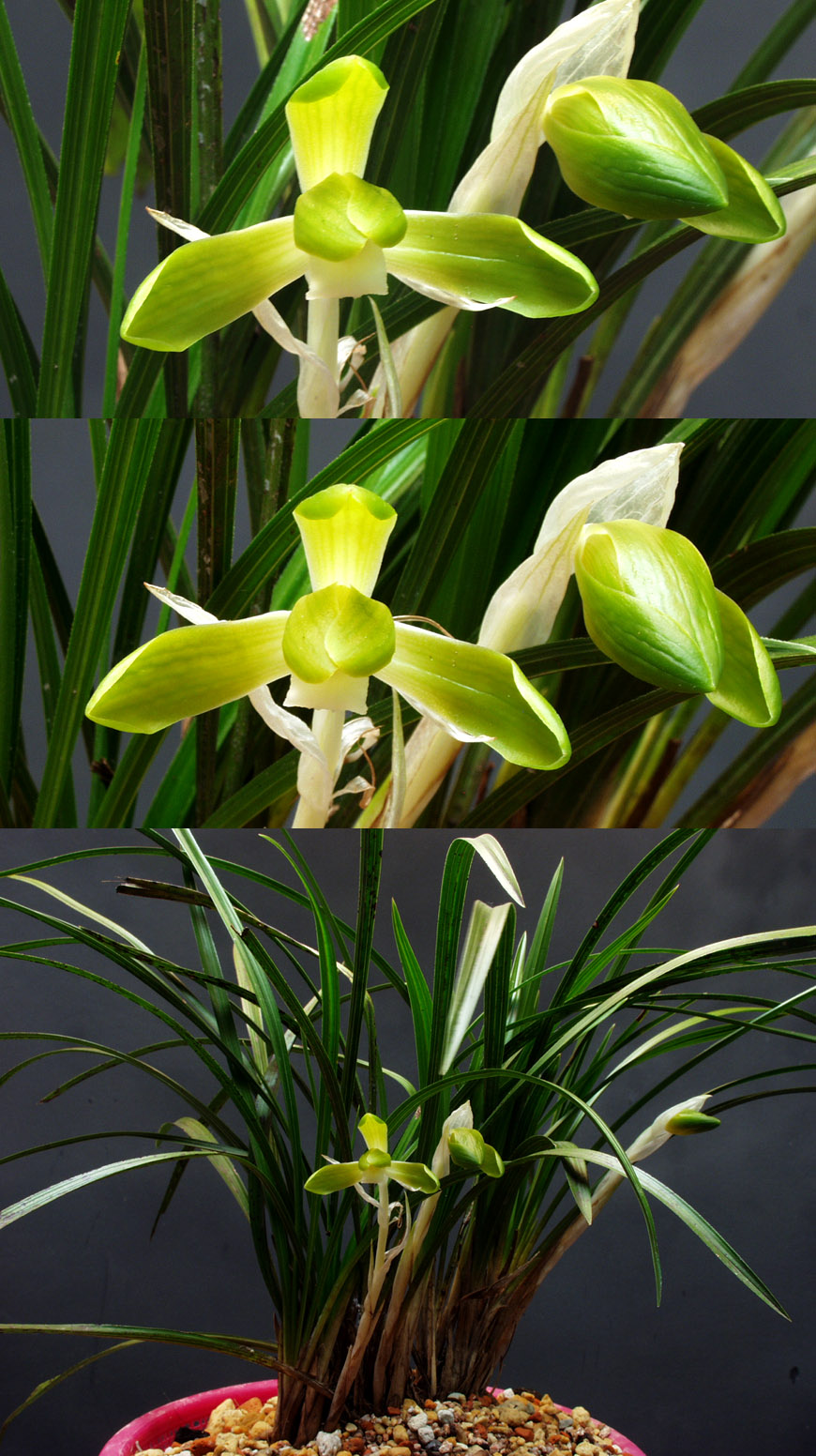 ������ ū������ �� �� �ֽ��ϴ�.