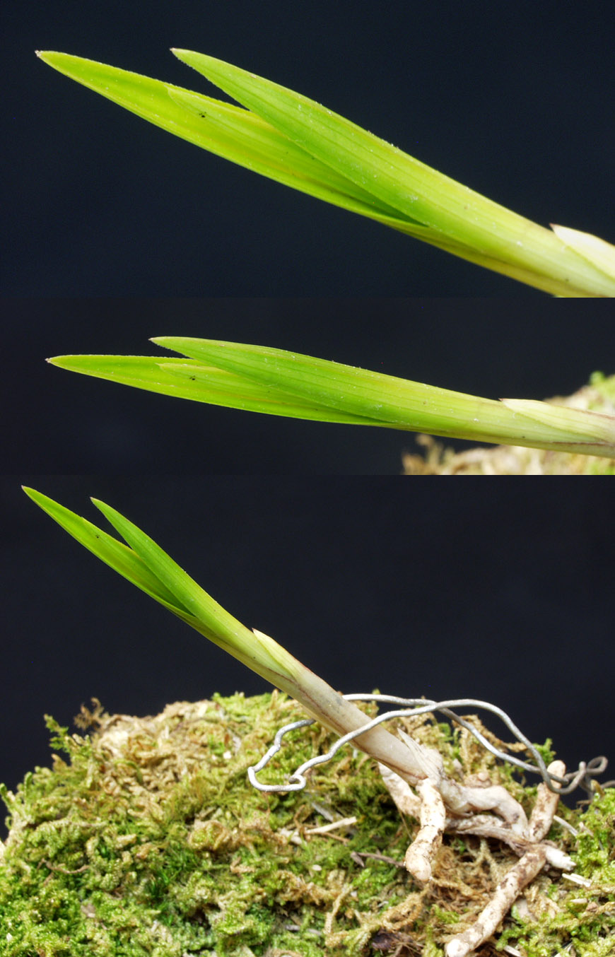 ������ ū������ �� �� �ֽ��ϴ�.