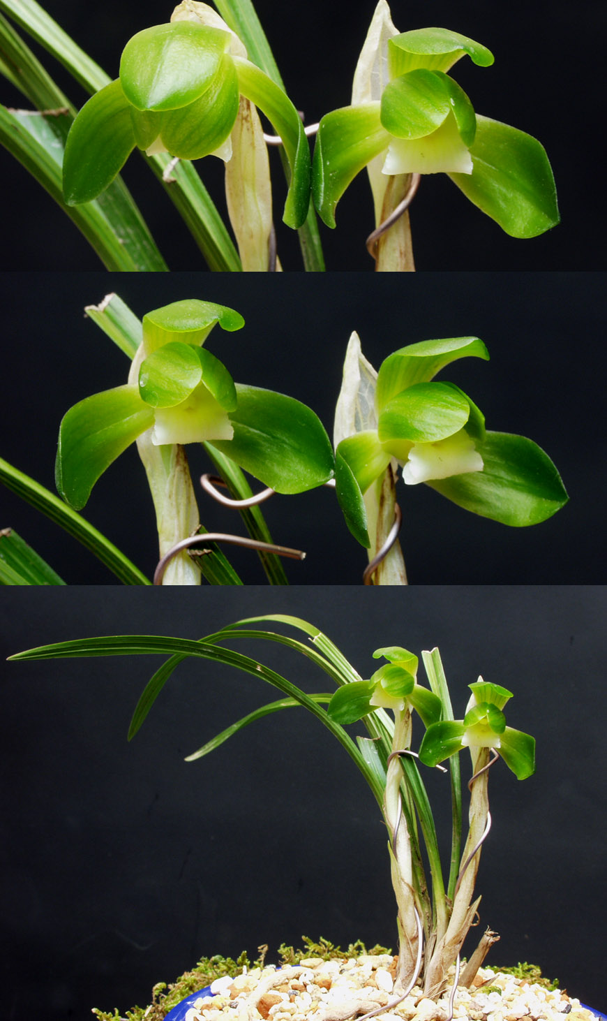 ������ ū������ �� �� �ֽ��ϴ�.