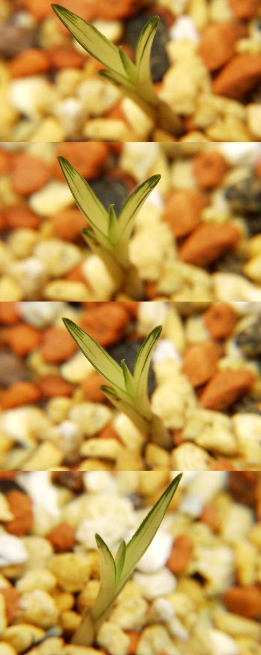 ������ ū������ �� �� �ֽ��ϴ�.